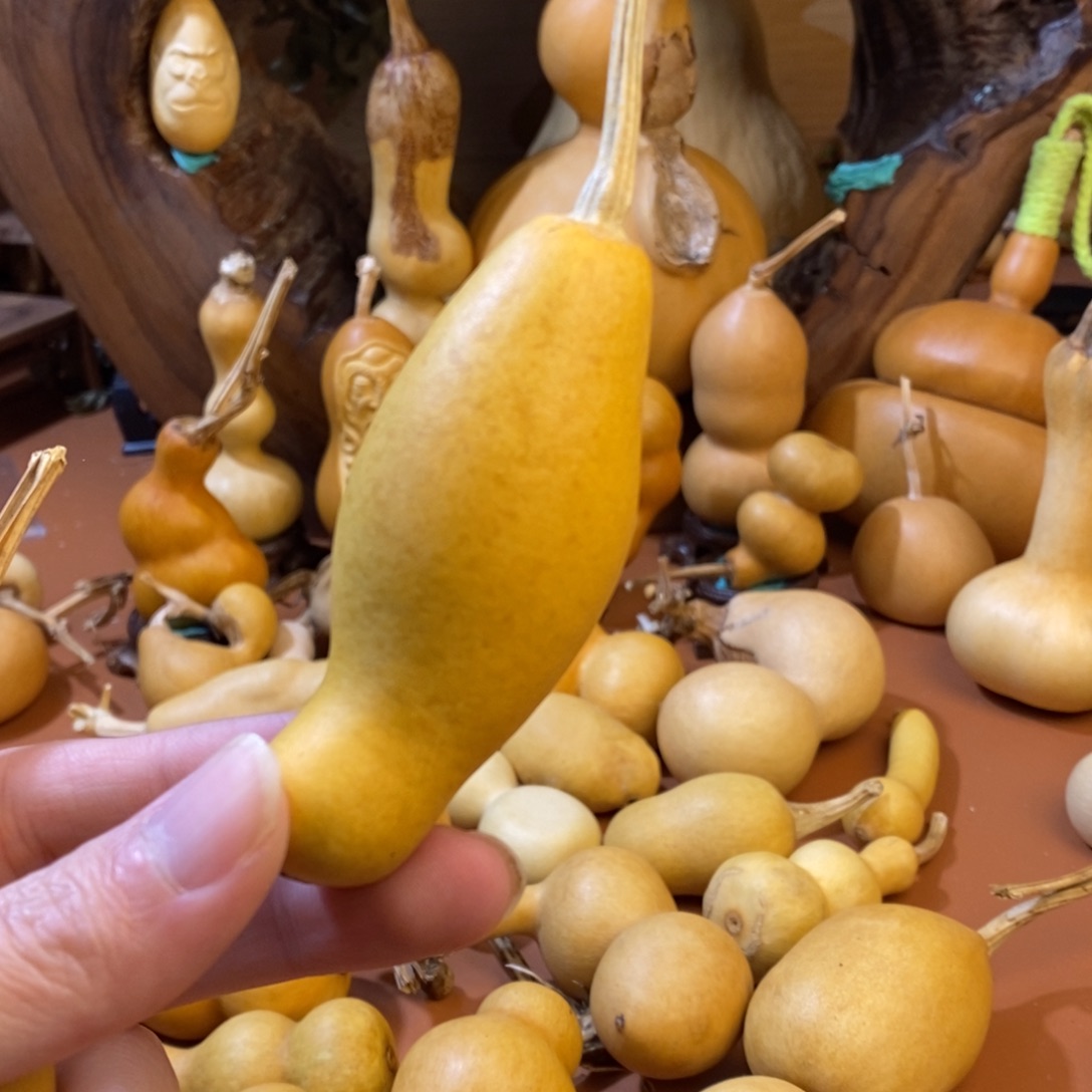 S***y教练教练咯教练经理