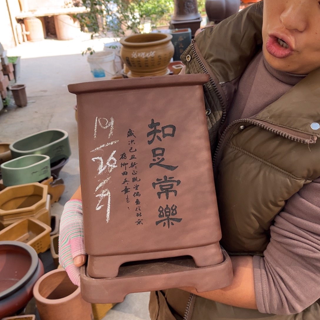花盆紫砂盆景艺术