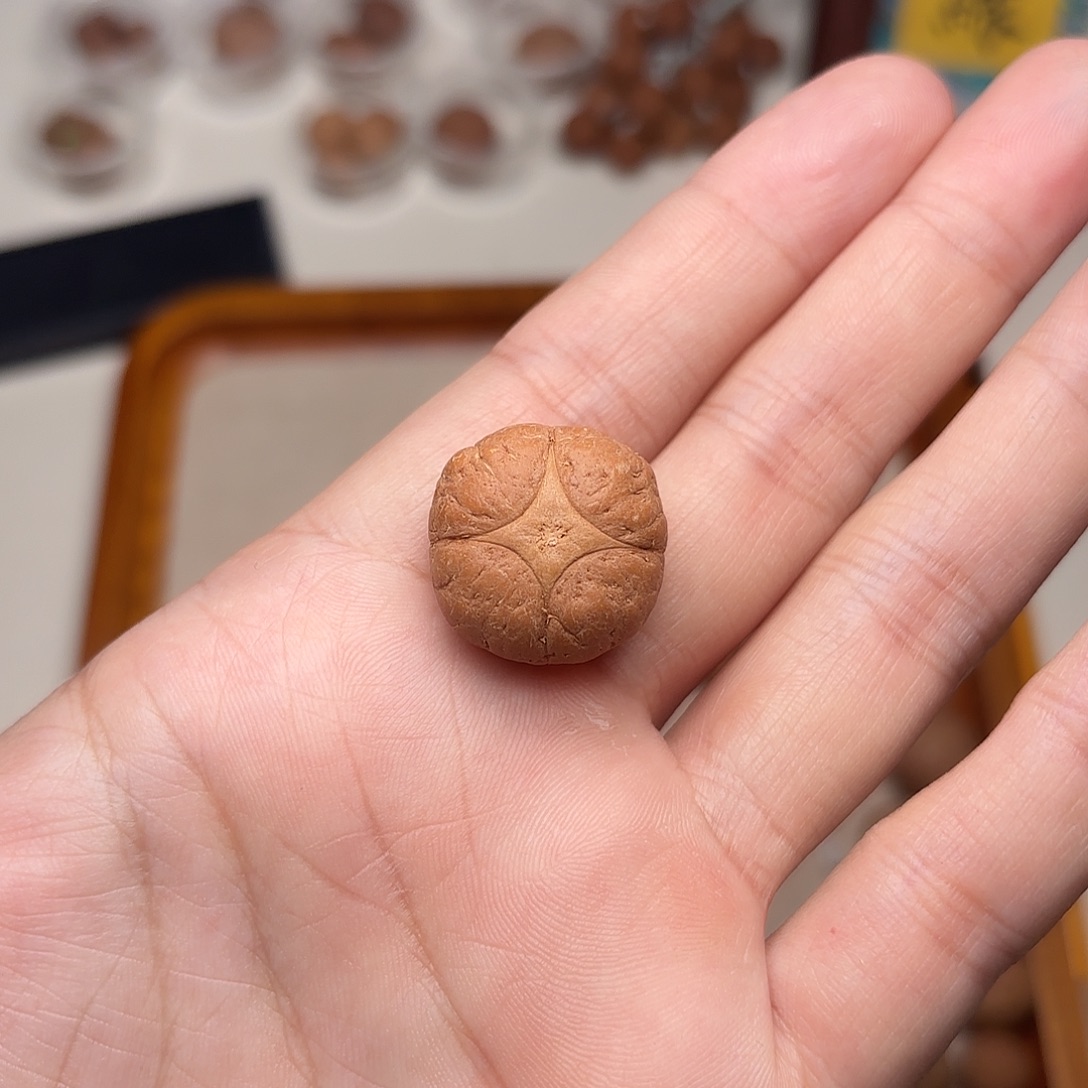 ****肩手串凤眼菩提麒麟三通21