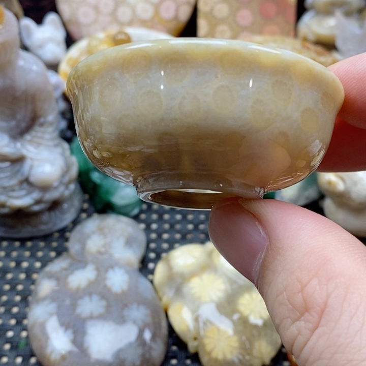 硅化珊瑚（珊瑚玉）颈饰未镶嵌