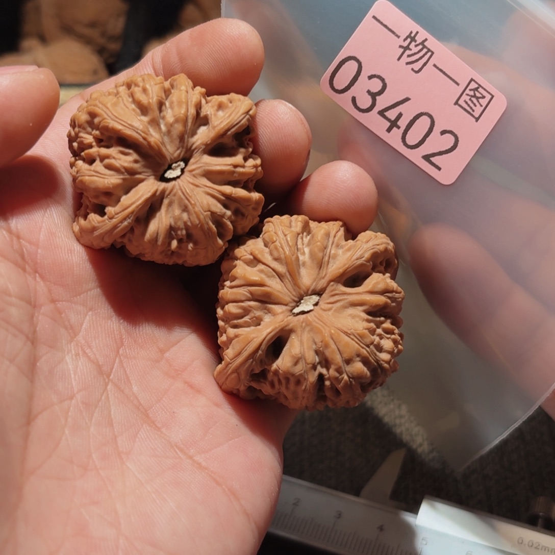 把件文玩核桃红玛瑙