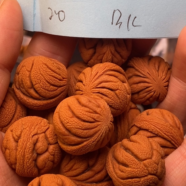 吊坠桃核秦岭龙纹桃核20尺寸