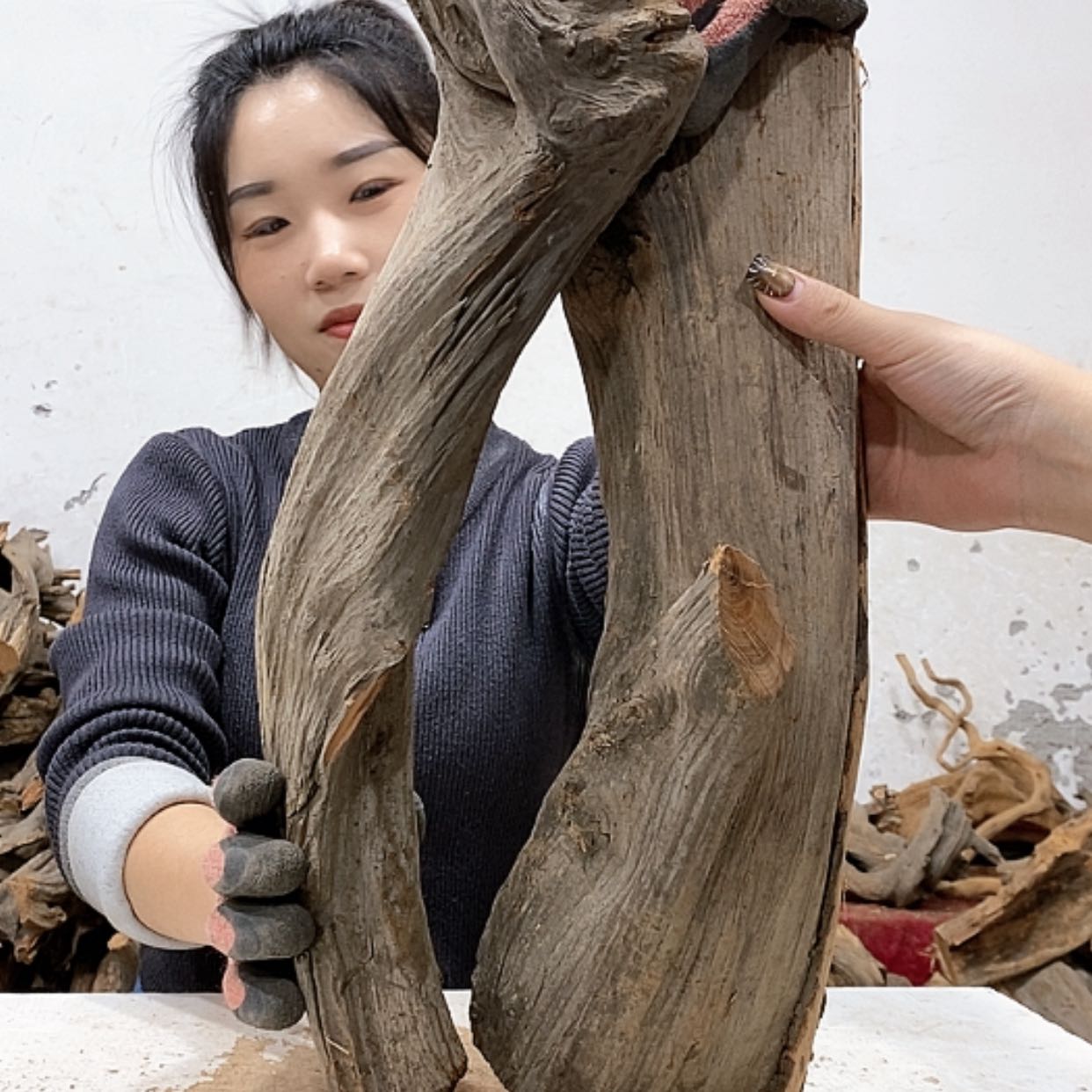 【闪购商品】柏木小*倩我们都是好孩子