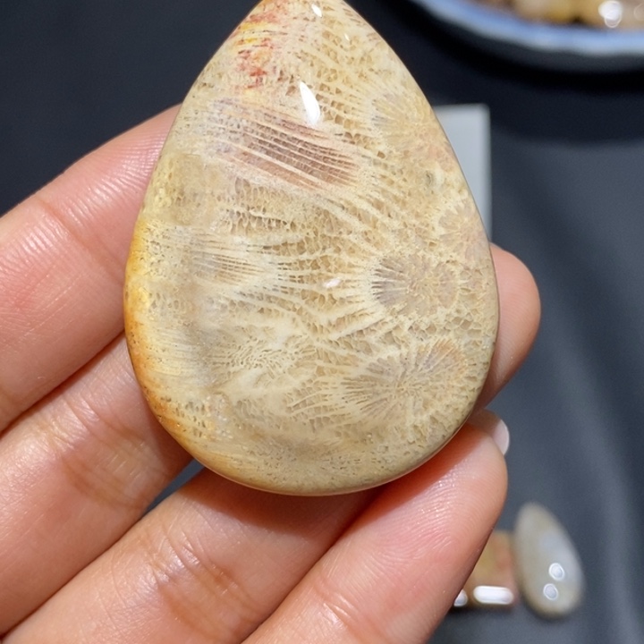 【闪购商品】未镶嵌珊瑚玉硅化玉