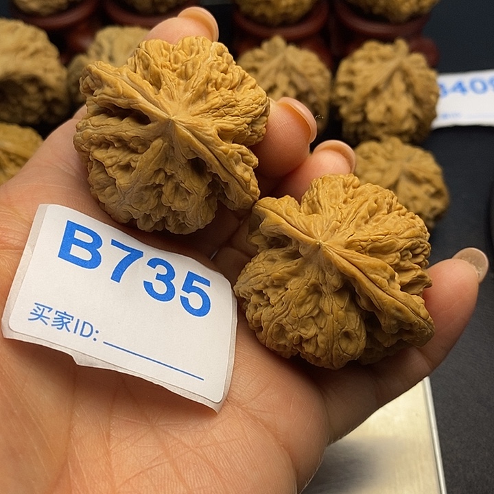 文玩核桃把件粗筋4.3