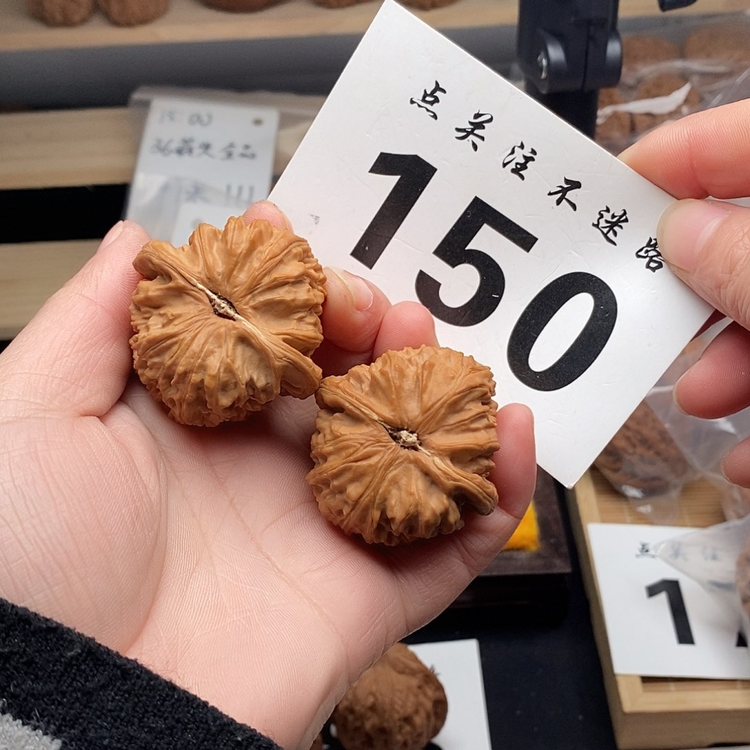 M***y核桃41白狮子。        