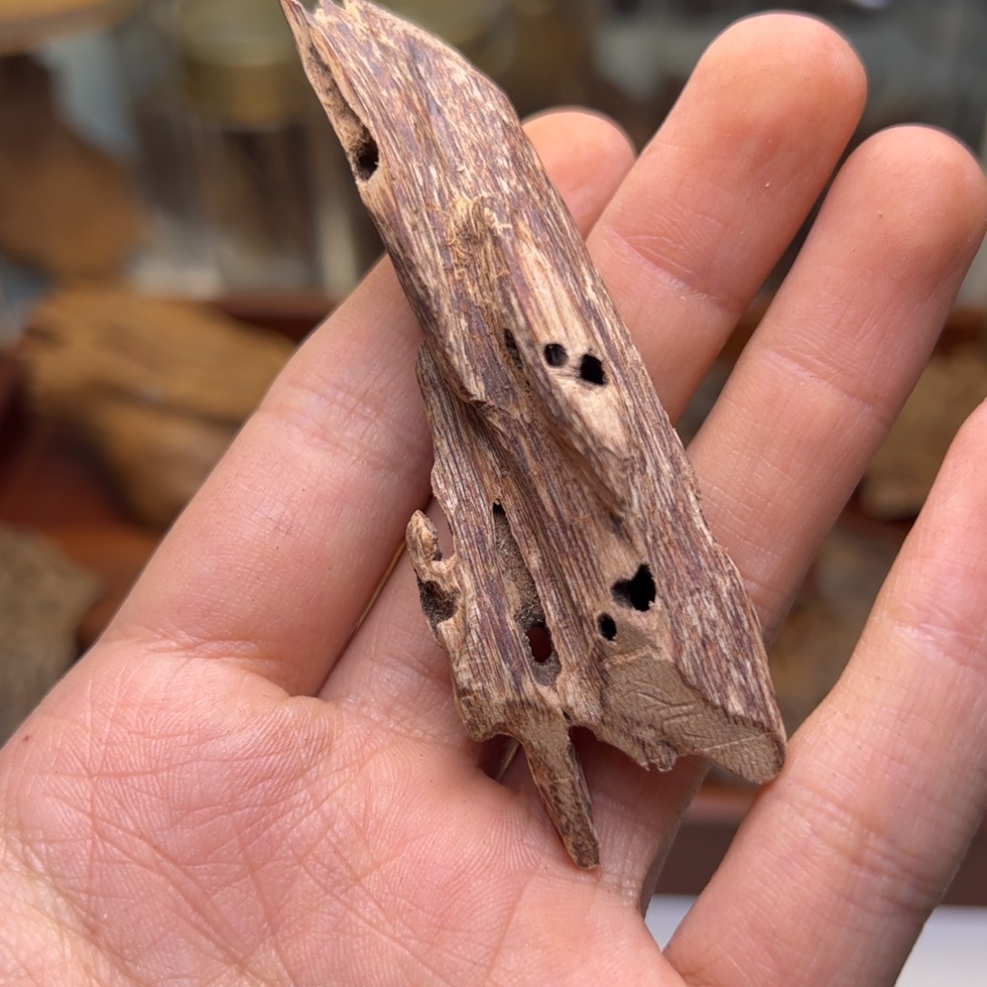 香料广西钦州虫漏5.7克