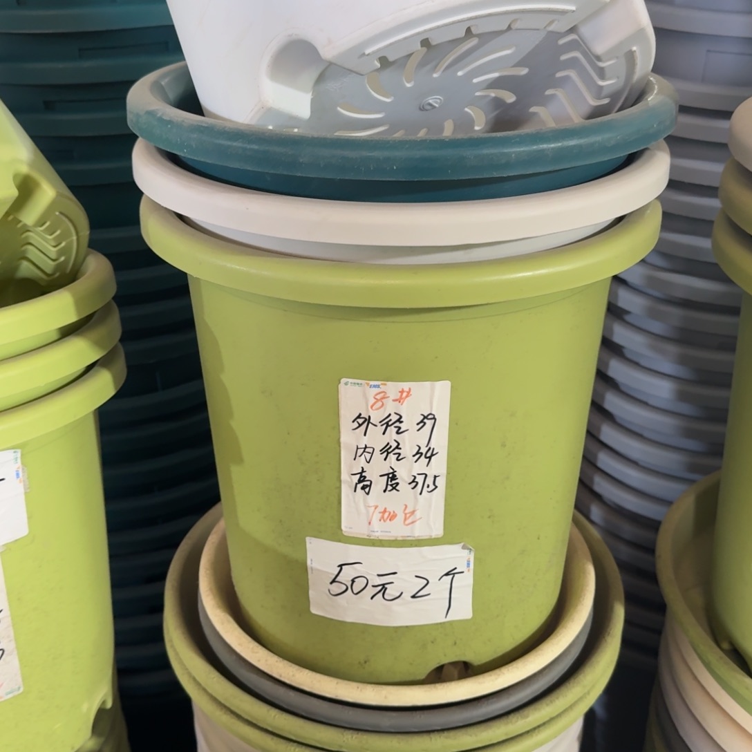 四季8#口径39果绿5个无拖