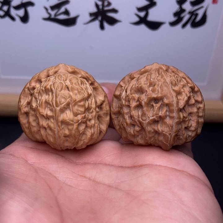 核桃全品三角白狮子