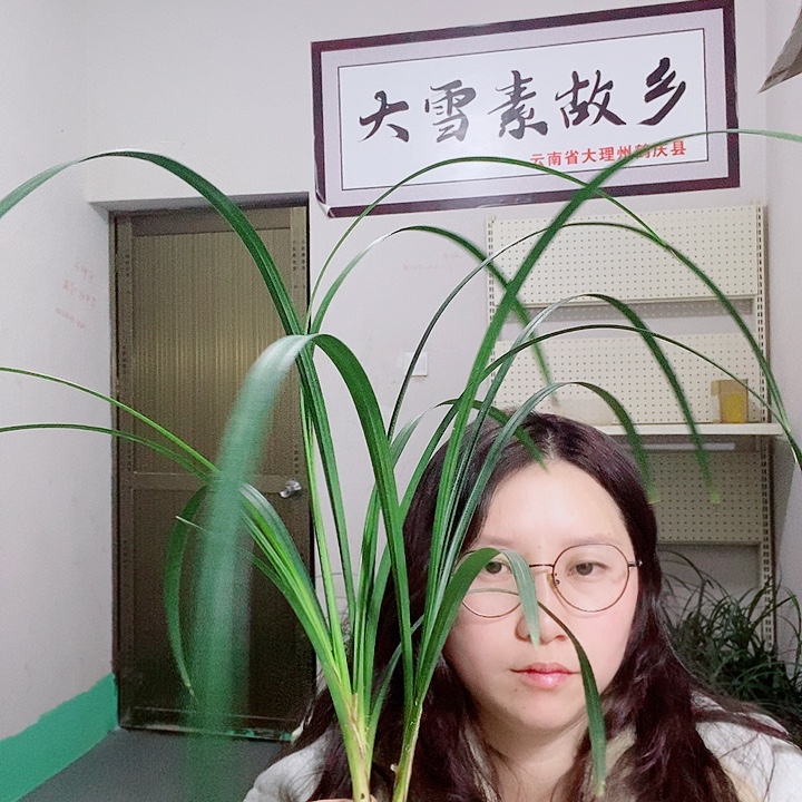 完全开放大雪素大雪素