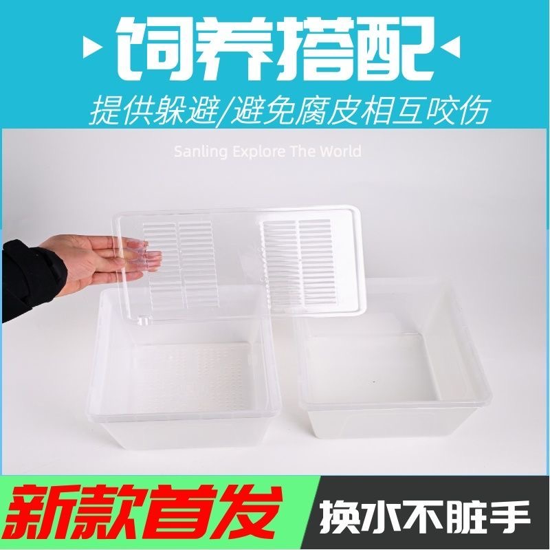 【换水不脏手】养龟隔离盒乌龟苗小苗防咬隔离盒蛋龟泥龟热带龟单盒