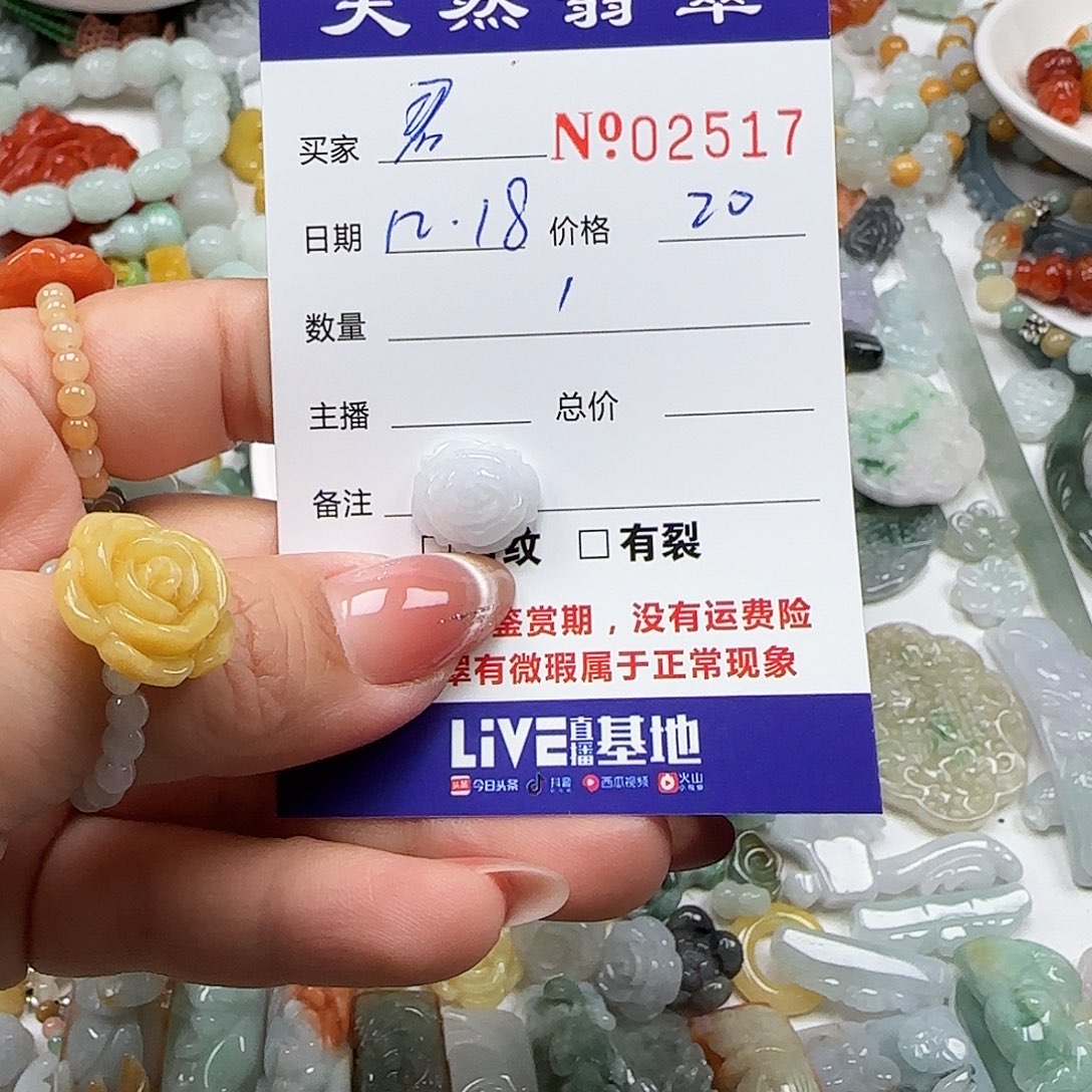 君***.翡翠未镶嵌颈饰555