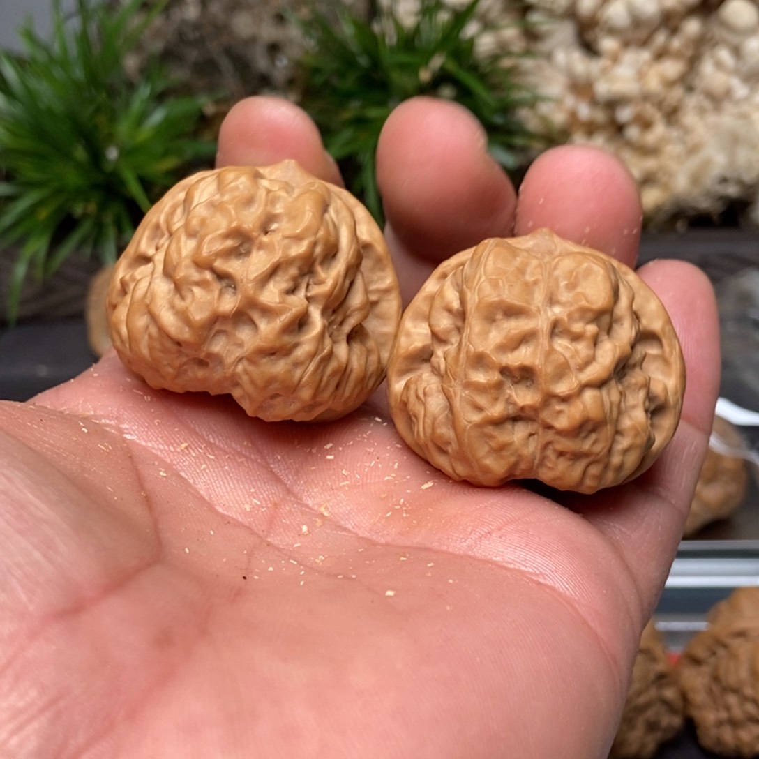 文玩核桃把件蛤蟆头38