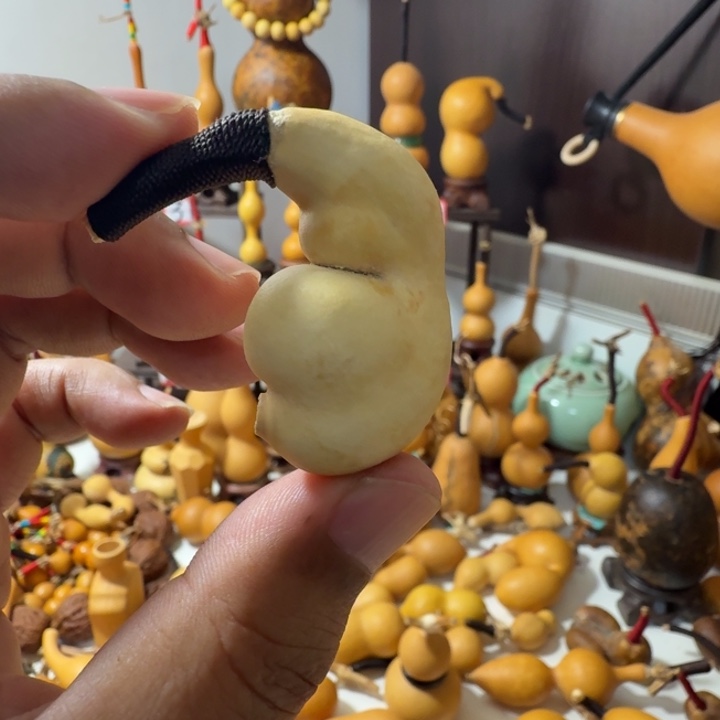 ****7这个世界没有什么