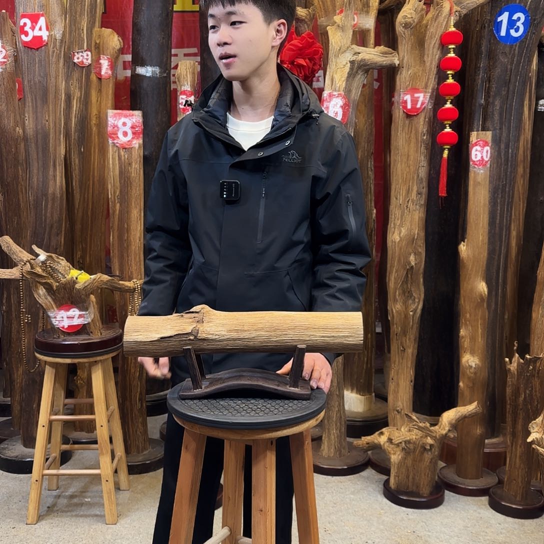 沉香摆件海南沉香