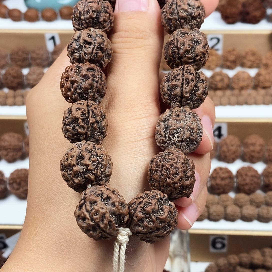 手串金刚菩提精品4瓣红皮铁籽子弹头