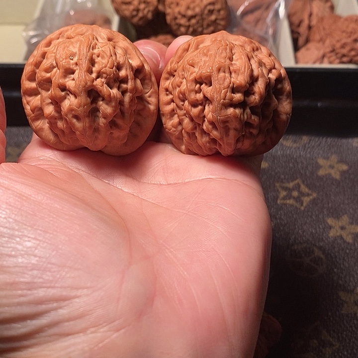 一***缘核桃手串/手链43金公子