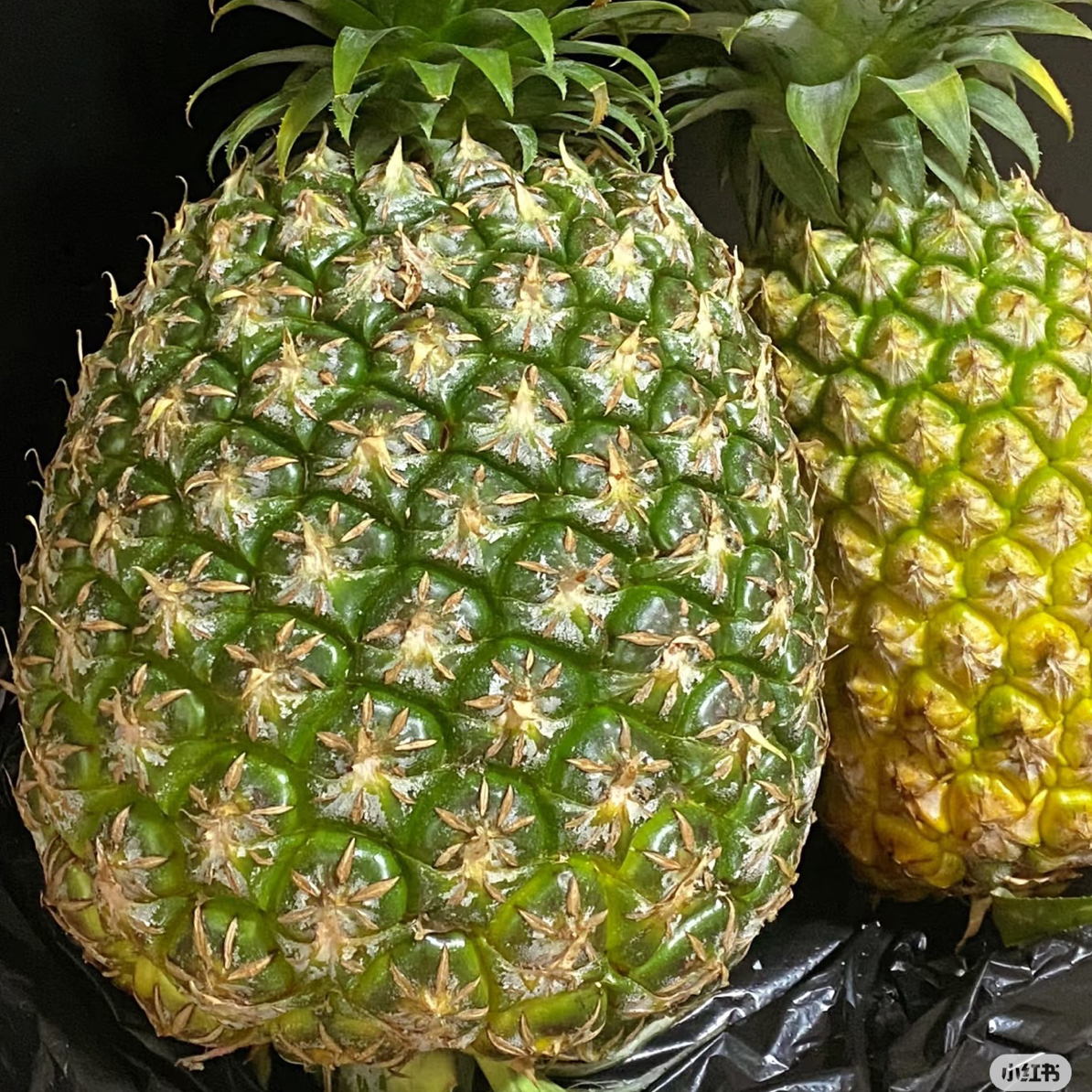 西瓜凤梨（甜甜3.5-3.8斤）