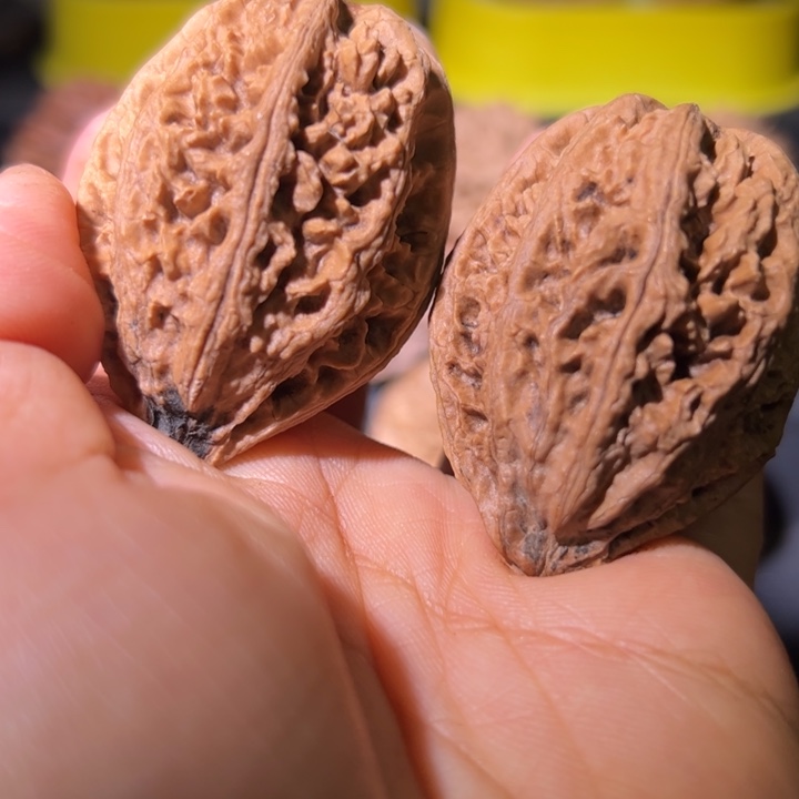 文玩核桃吊坠核桃69