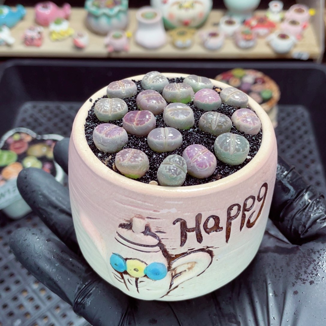 夜间零下地区拍保温箱w