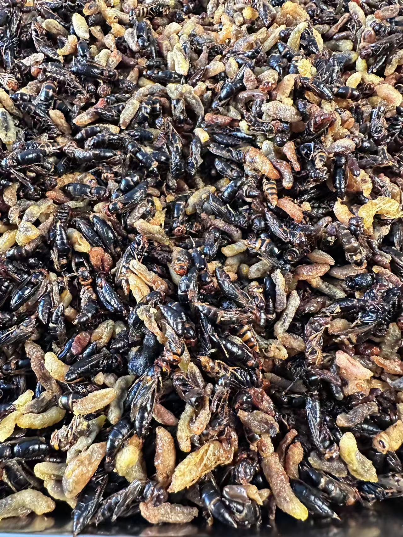 【3~4级小黄小黑】现炸树峰蜂蛹 3级蛹带内脏介意勿拍 顺丰空运包邮