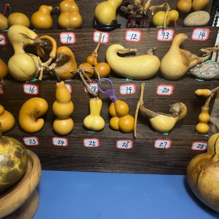 六***六连体双胞胎葫芦粗嘴天然葫芦