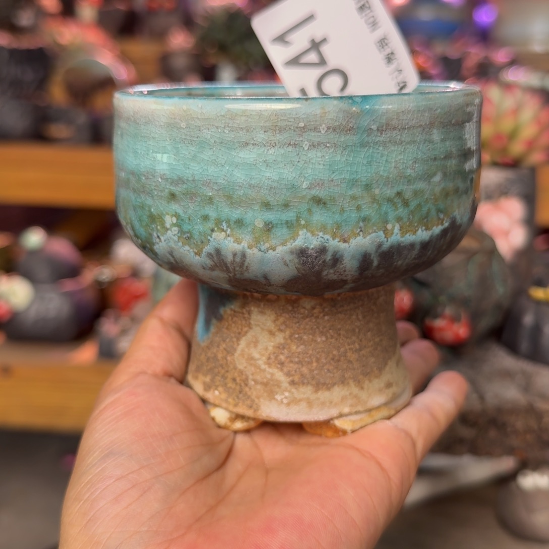 重庆小燕子欢迎大家541