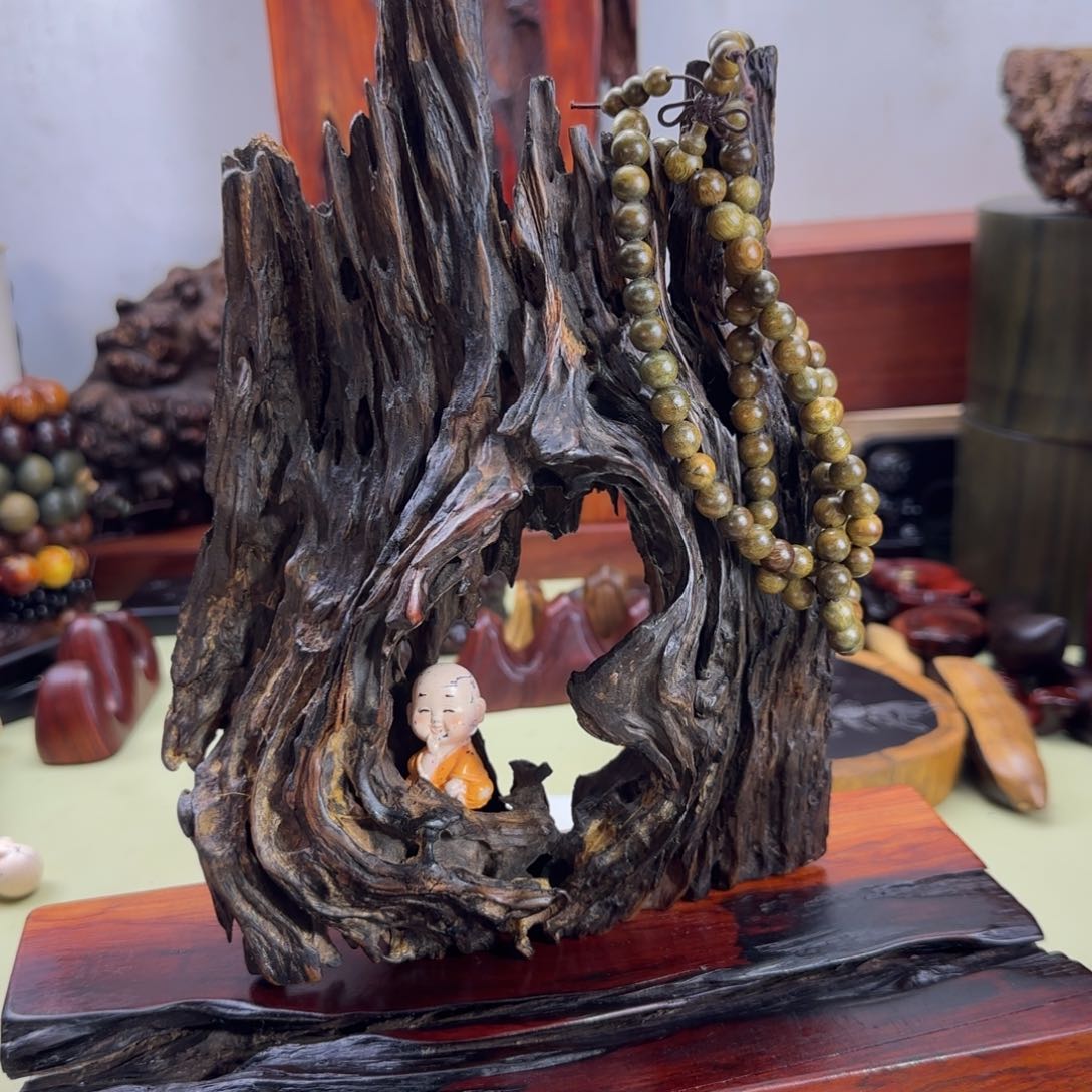 大果紫檀（缅甸花梨）共*海