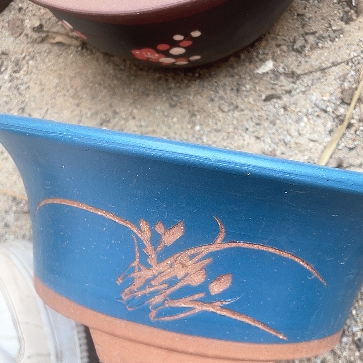 紫砂27蓝票口花盆花盆