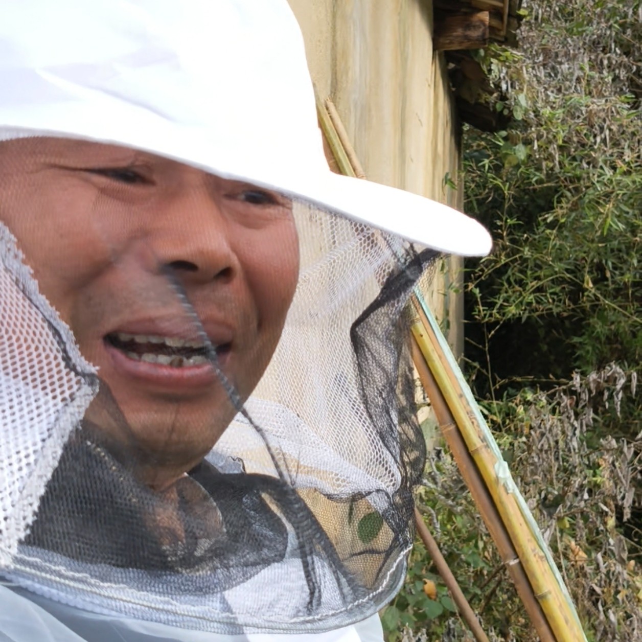 农家天然土蜂蜜一年割一次原汁原味滋补佳品纯正百花蜜健康礼品