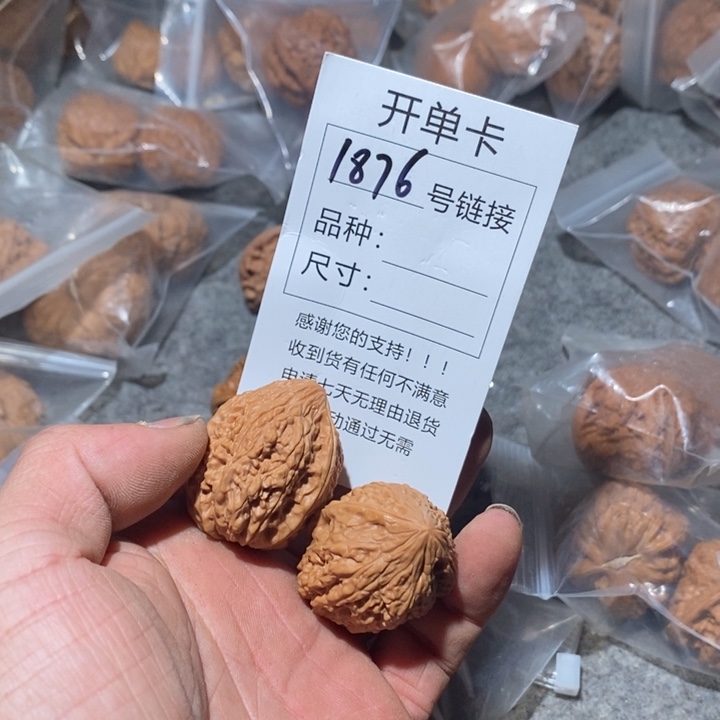 文玩核桃把件1876咯摸摸哦哦哦的