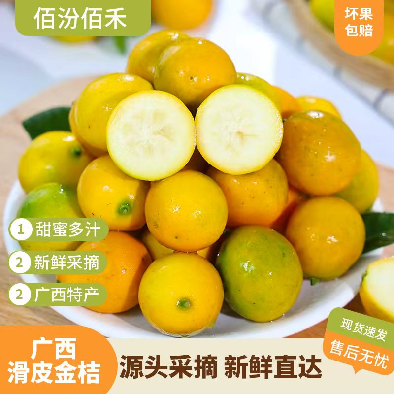 佰汾佰禾 广西融安滑皮小金桔彩箱 纯甜无酸新鲜应季水果