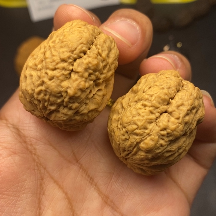 文玩核桃吊坠36尺脑纹金蟾