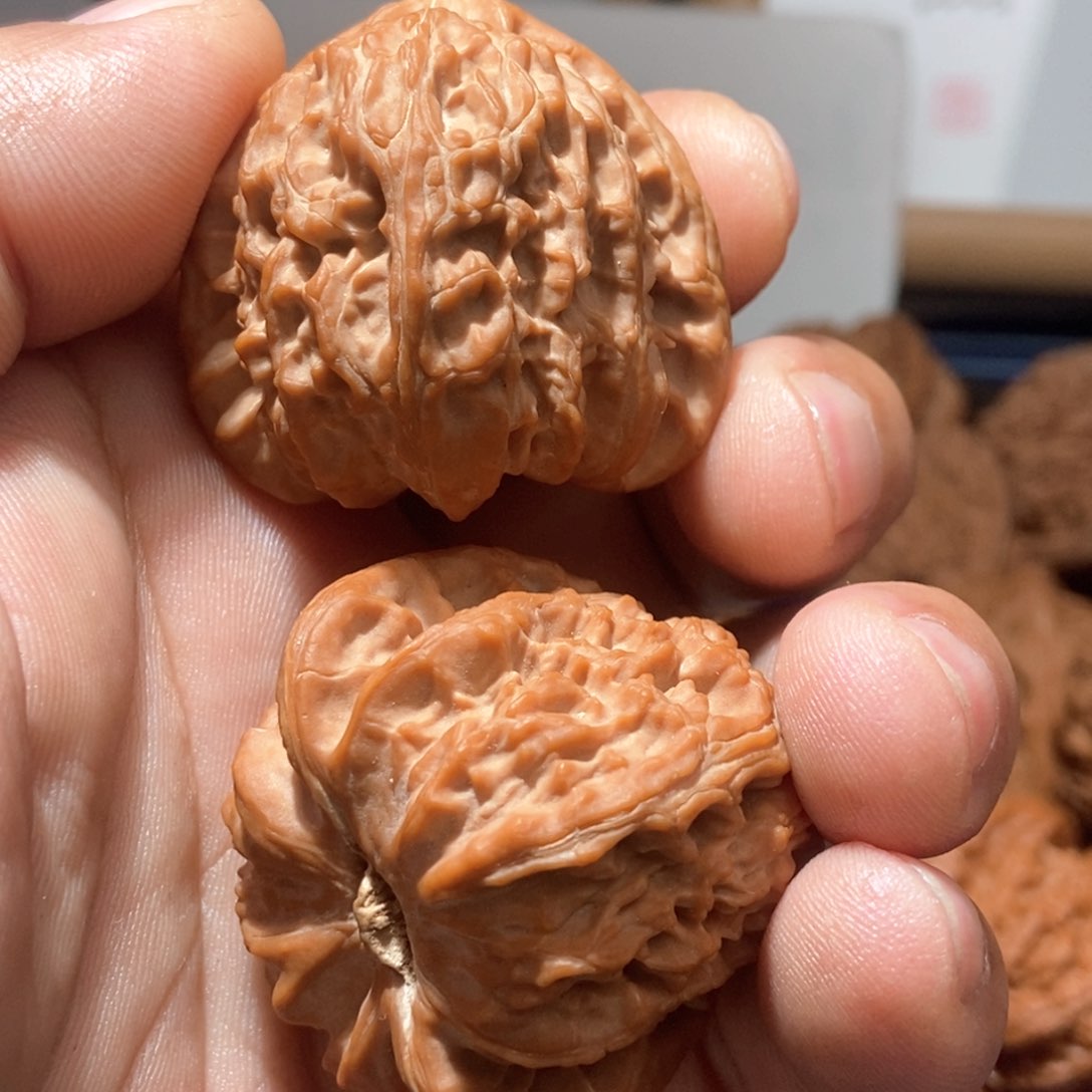 珍*三角白狮子头尺寸41文玩核桃