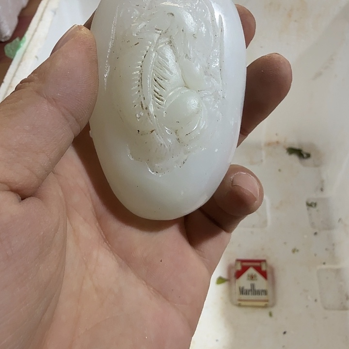 树****扇子 和vv给哥哥哥哥哈哈哈哈哈哈