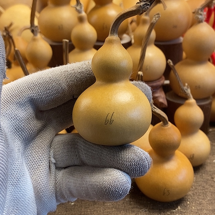 文玩葫芦 完美主义者 慎拍66