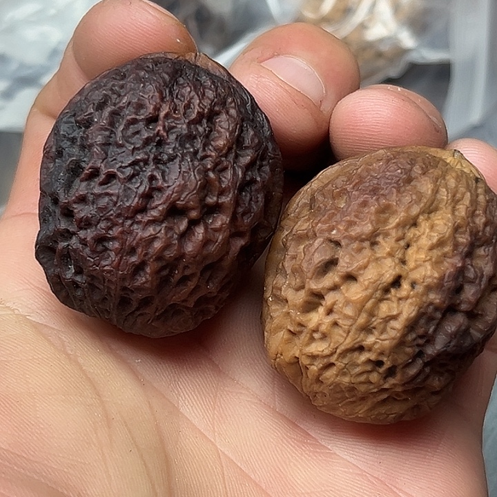 核桃7号橄榄石37尺