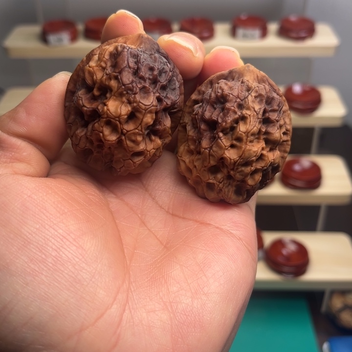 涵***浩核桃七彩皇冠44尺