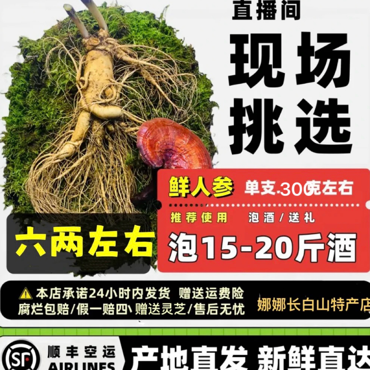 长白山新鲜带土人参6两左右现挖可泡酒煲汤营养特产