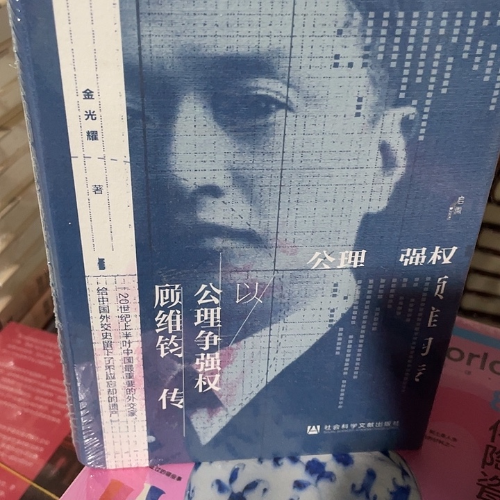 顾维钧传：微瑕微瑕7