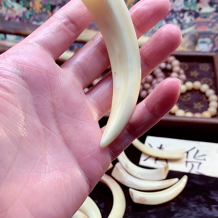 驼骨手串/手链野佩奇