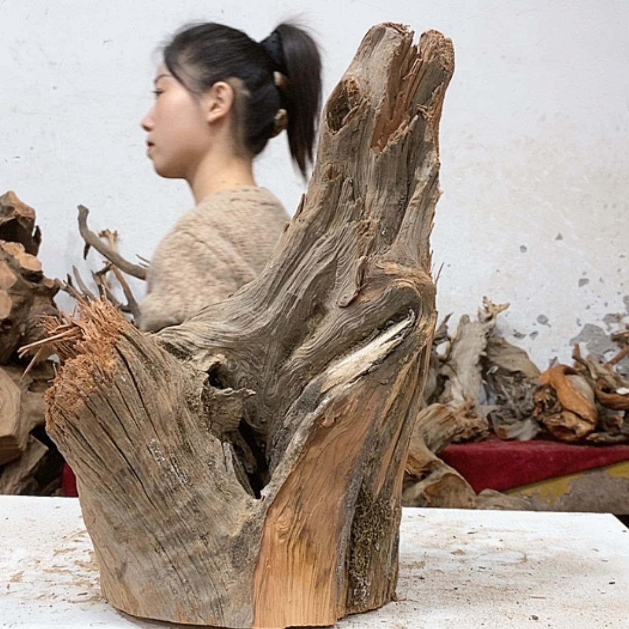 【闪购商品】柏木上*站我们都是好孩子