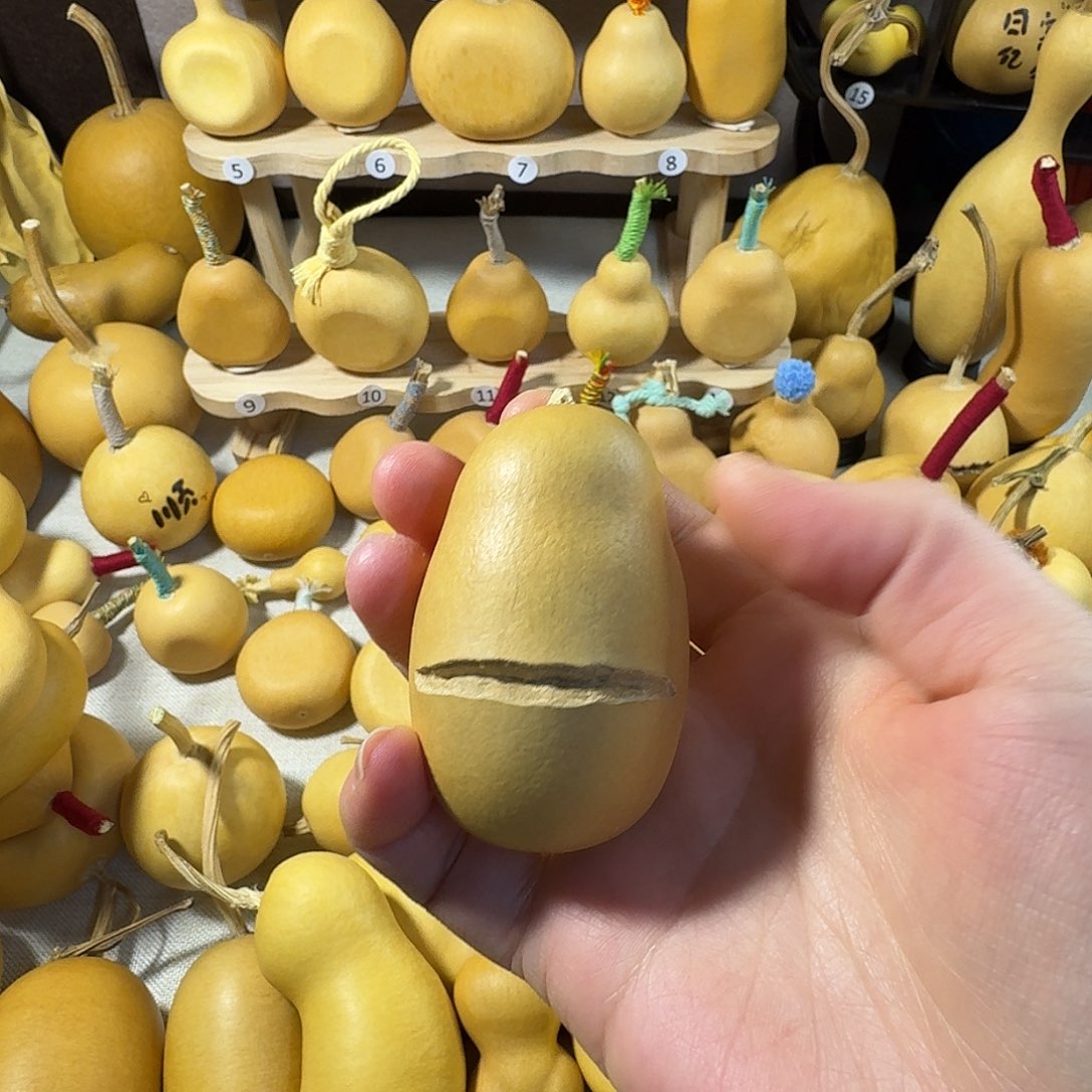 H****大叶紫檀（黑酸枝木类）