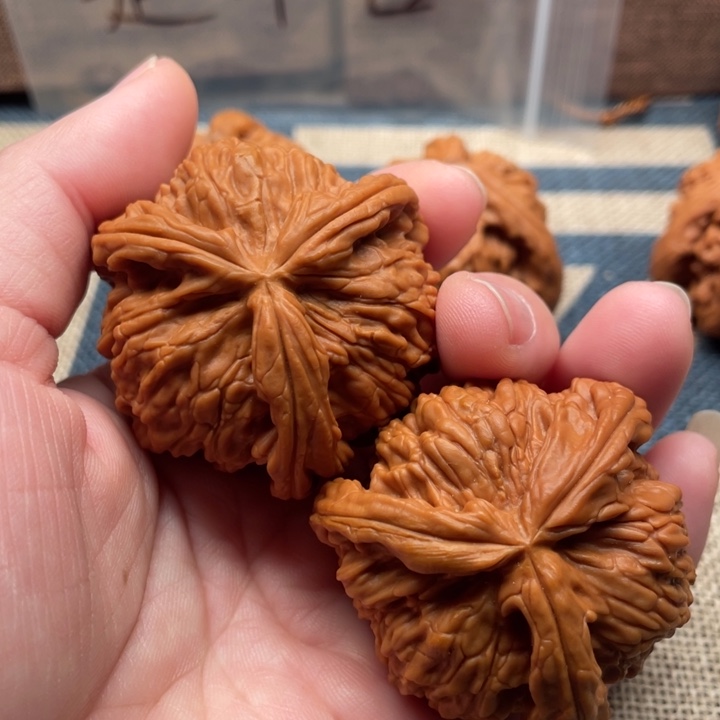 瀚***翔核桃白狮子44核桃