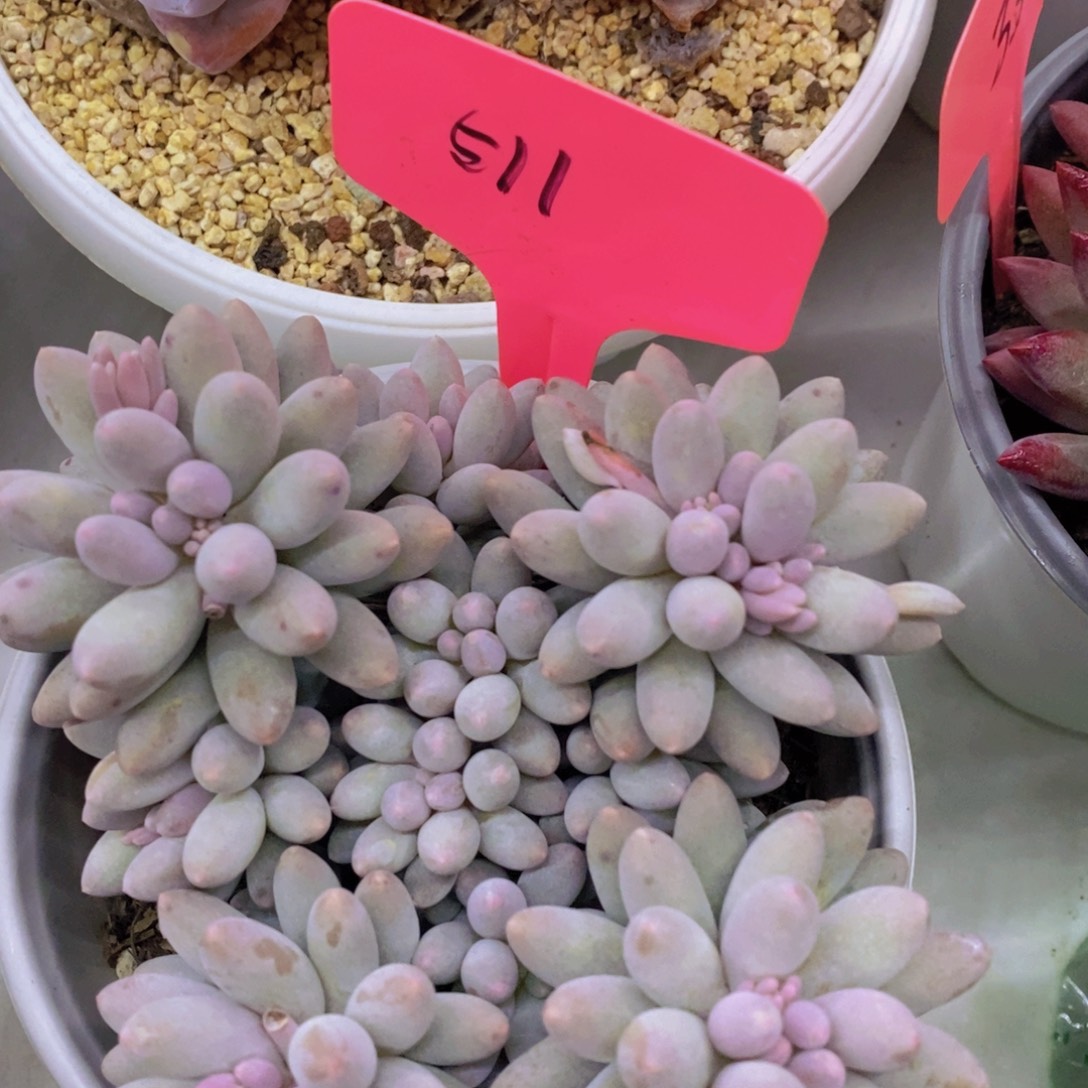 清货转场，一物一拍，看准