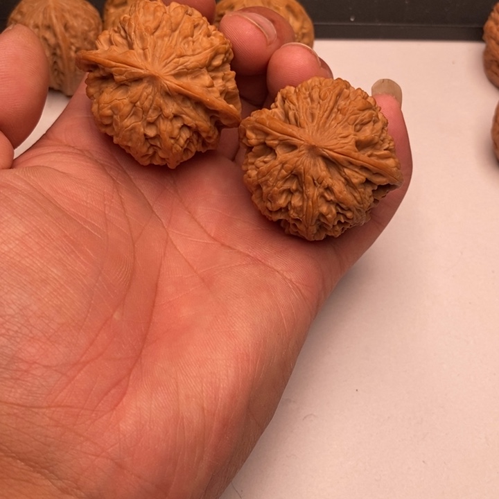 核桃手串/手链全品44尺寸野牛狮子头