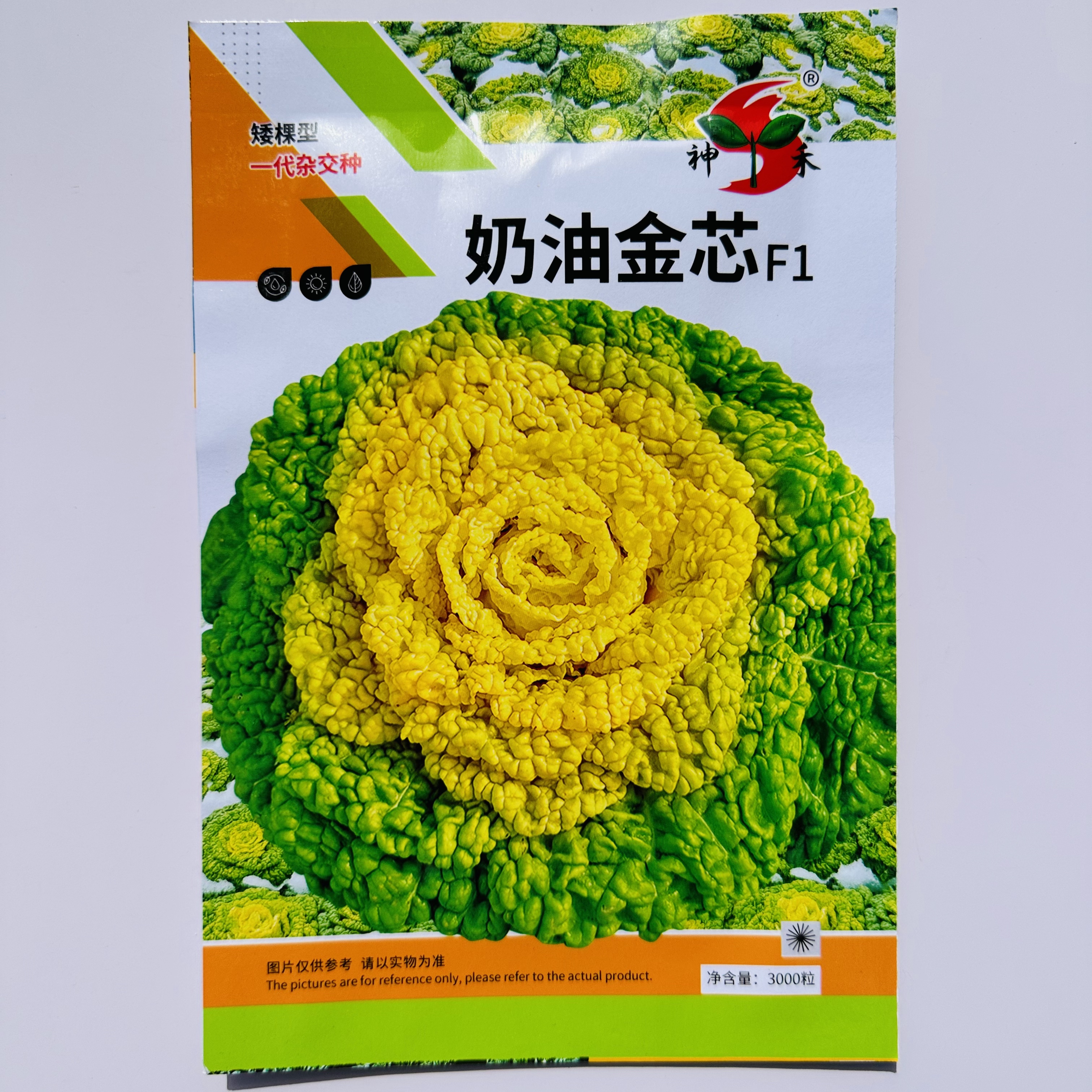 【新品】奶油黄心乌塌菜种子四季耐寒黄心菜菊花心菜秋冬季蔬菜