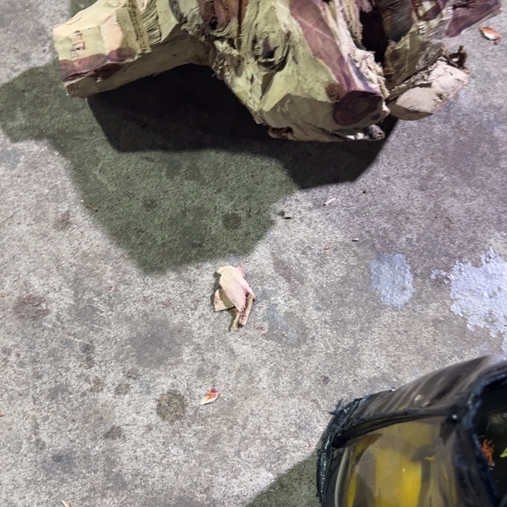 香榧木一****9海南黄花梨原木直发