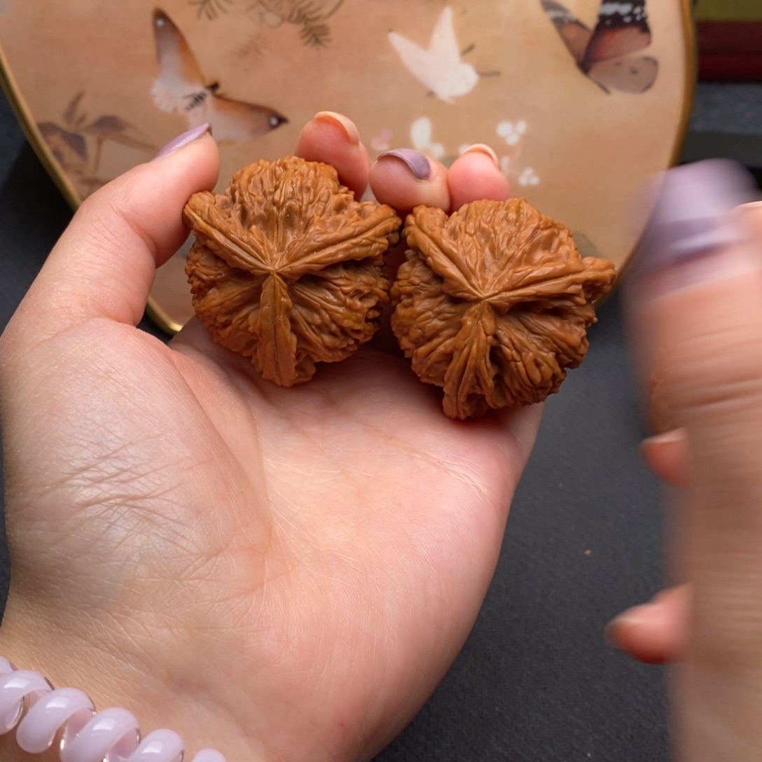 永****）白狮子111111111111