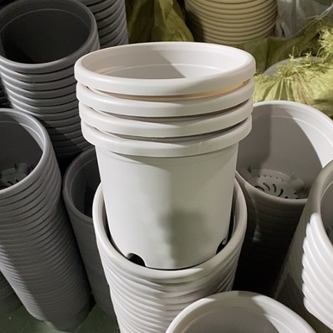 树脂微瑕2号13个无托灰白